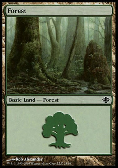 (英)森 / Forest【GVSL】 No.028