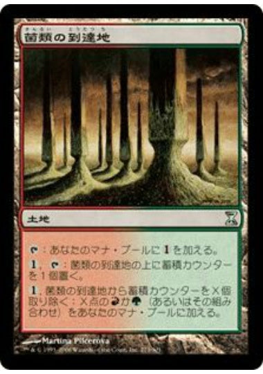 (日)【Foil】菌類の到達地 / Fungal Reaches【TSP】 No.273