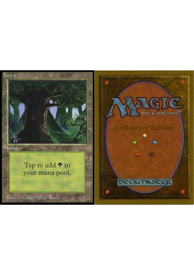 (英)森 / Forest【CE】 (Dark Tree) No.301 ※トーナメントで使用することはできません。