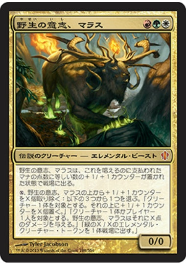 (日)野生の意志、マラス / Marath, Will of the Wild【C13】 No.198