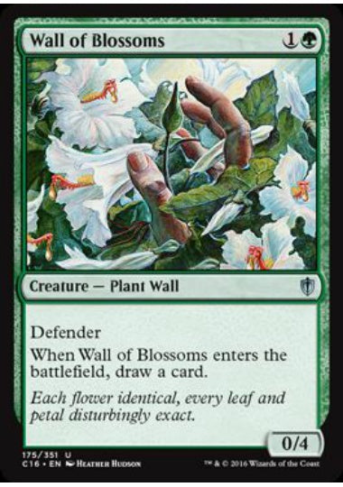(英)花の壁 / Wall of Blossoms【C16】 No.175