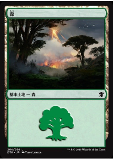 (日)森 / Forest【DTK】 No.264