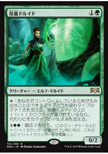 (日)【Foil】培養ドルイド / Incubation Druid【RNA】 No.131