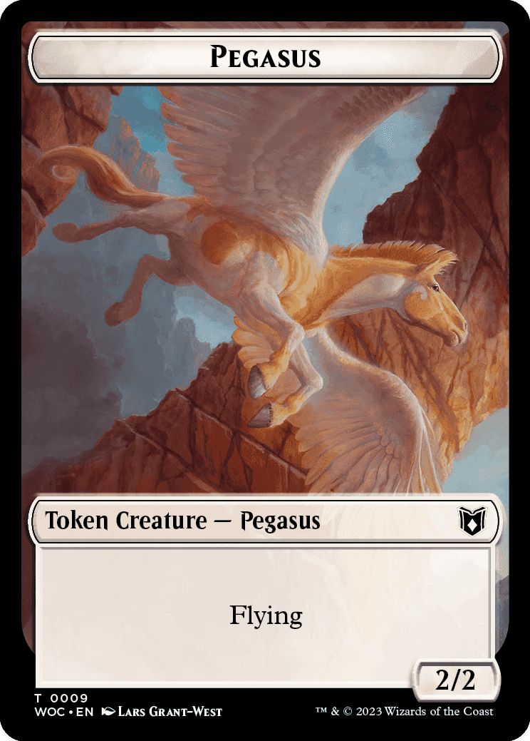 (英)ペガサストークン / Pegasus Token No.009 - 海賊トークン / Pirate Token【WOC-TOKEN】 No.012