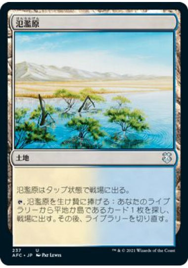 (日)氾濫原 / Flood Plain【AFC】 No.237