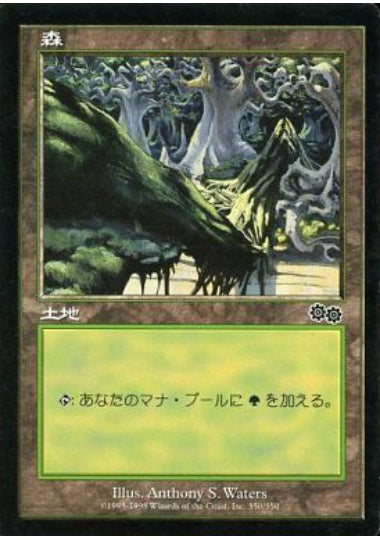 (日)森 / Forest【USG】 No.350