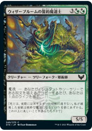 (日)【Foil】ウィザーブルームの誓約魔道士 / Witherbloom Pledgemage【STX】 No.249