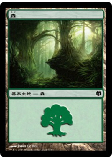 (日)森 / Forest【HVSM】 No.080
