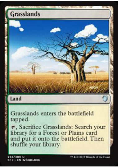 (英)草原 / Grasslands【C17】 No.252