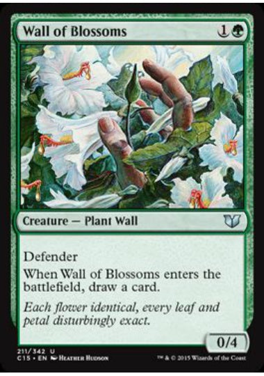 (英)花の壁 / Wall of Blossoms【C15】 No.211