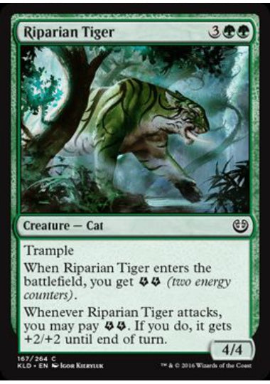 (英)【Foil】水辺の虎 / Riparian Tiger【KLD】 No.167