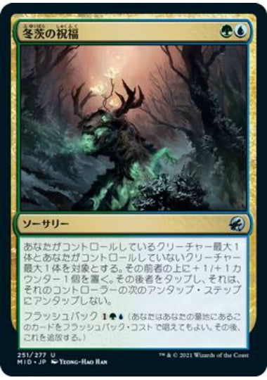 (日)【Foil】冬茨の祝福 / Winterthorn Blessing【MID】 No.251