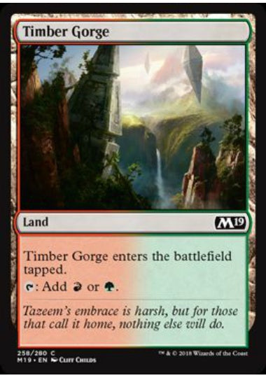 (英)【Foil】森林の地溝 / Timber Gorge【M19】 No.258