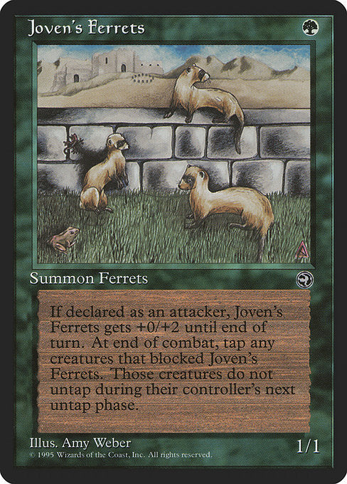 (英)Joven's Ferrets 【HML】 No.089
