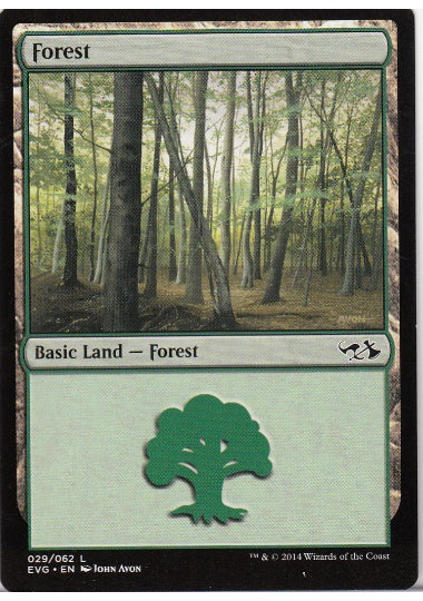 (英)森 / Forest【DDAEVG】 No.029