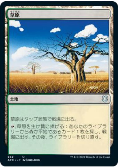 (日)草原 / Grasslands【AFC】 No.242