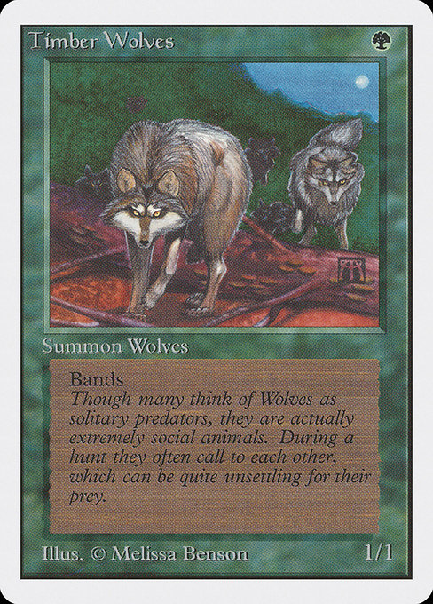 (英)森林狼 / Timber Wolves【2ED】 No.220