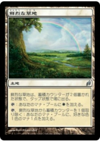 (日)【Foil】鮮烈な草地 / Vivid Meadow【LRW】 No.279