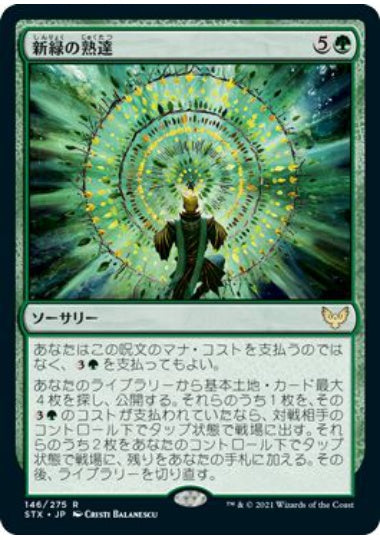 (日)【Foil】新緑の熟達 / Verdant Mastery【STX】 No.146