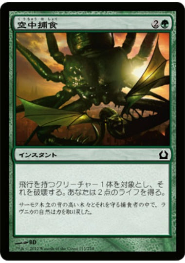 (日)空中捕食 / Aerial Predation【RTR】 No.113