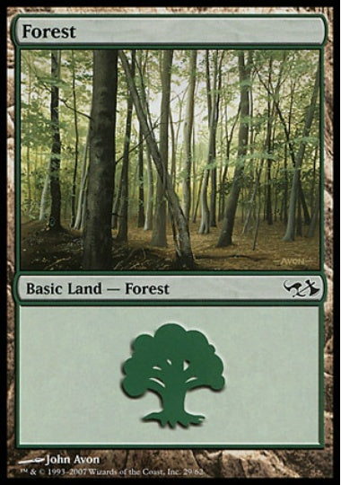 (英)森 / Forest【EVSG】 No.029