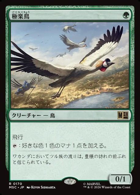 (日)極楽鳥 / Birds of Paradise【MSC】 No.170