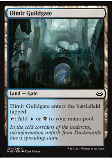 (英)【Foil】ディミーアのギルド門 / Dimir Guildgate【MM3】 No.234
