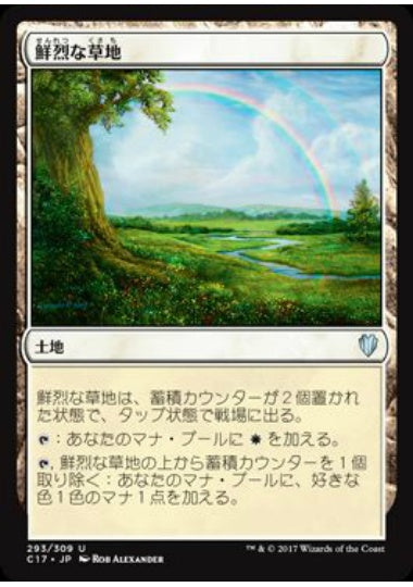 (日)鮮烈な草地 / Vivid Meadow【C17】 No.293