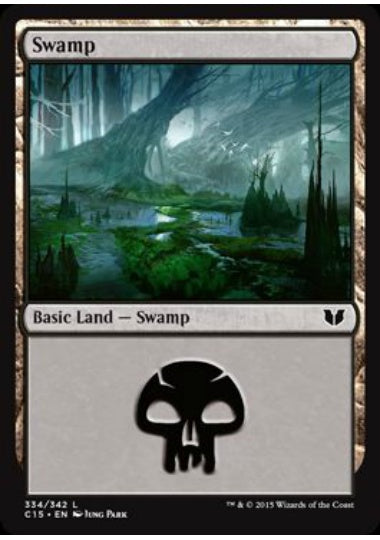 (英)沼 / Swamp【C15】 No.334