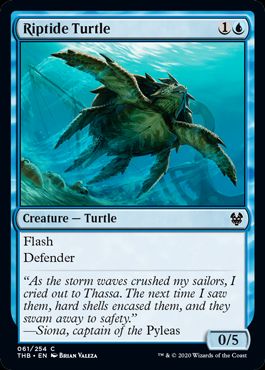 (英)激浪の亀 / Riptide Turtle【THB】 No.061