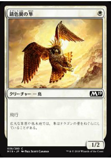 (日)【Foil】錆色翼の隼 / Rustwing Falcon【M19】 No.036