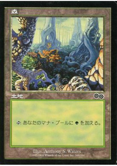 (日)森 / Forest【USG】 No.349