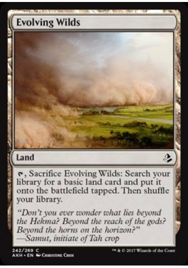 (英)【Foil】進化する未開地 / Evolving Wilds【AKH】 No.242