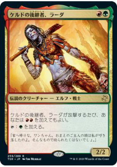 (日)【Foil】ケルドの後継者、ラーダ / Radha, Heir to Keld【TSR】 No.259