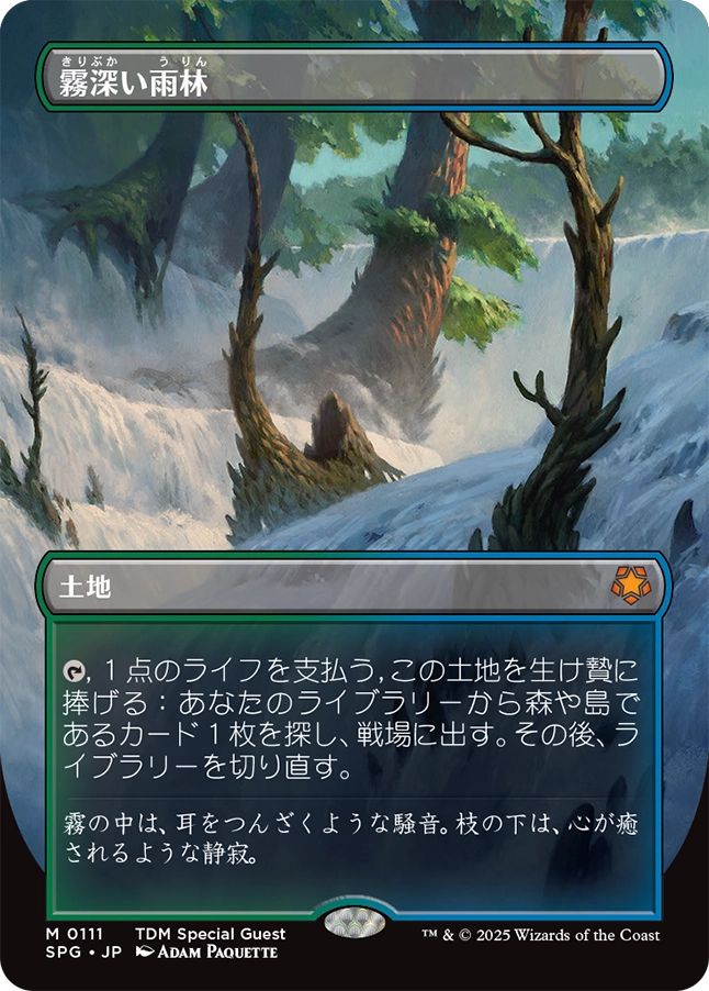 【foil】霧深い雨林　旧枠　2枚セット MTG FOIL 霧深い雨林 旧枠2枚セット 【公式通販】
