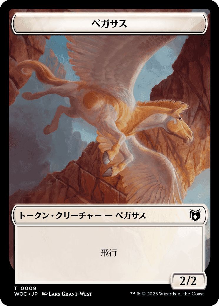 (日)ペガサストークン / Pegasus Token No.009 - 海賊トークン / Pirate Token【WOC-TOKEN】 No.012