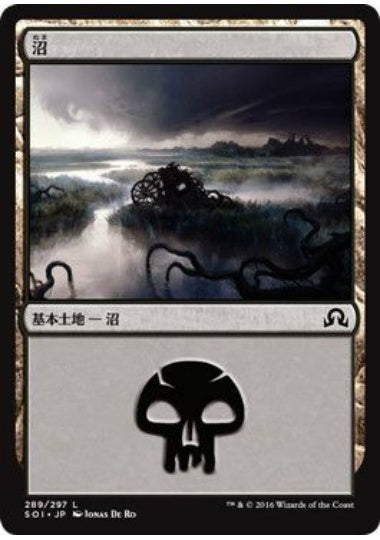 (日)沼 / Swamp【SOI】 No.289