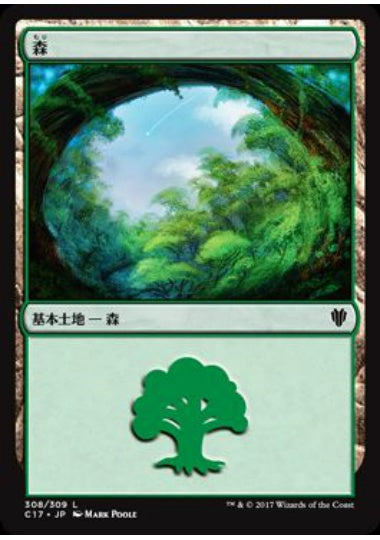 (日)森 / Forest【C17】 (Mark Poole) No.308