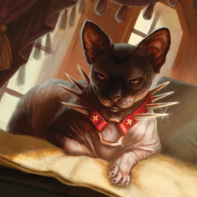 (英)Cats Are Better Than Dogs 【BOX】 ※発送方法は「ゆうパック」を選択してください。