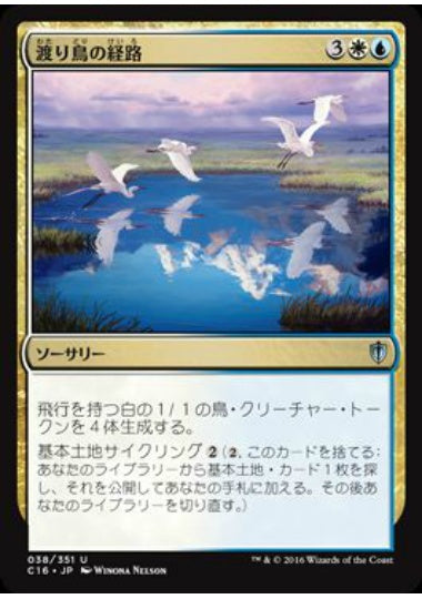 (日)渡り鳥の経路 / Migratory Route【C16】 No.038