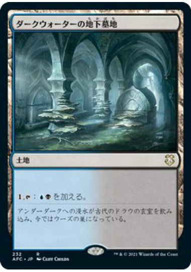 (日)ダークウォーターの地下墓地 / Darkwater Catacombs【AFC】 No.232