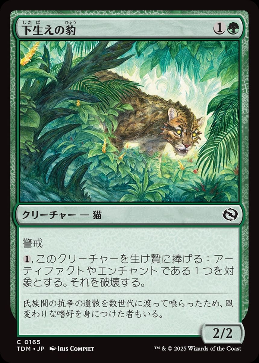 (日)下生えの豹 / Undergrowth Leopard【TDM】 No.165