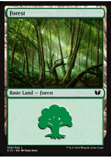 (英)森 / Forest【C15】 No.339