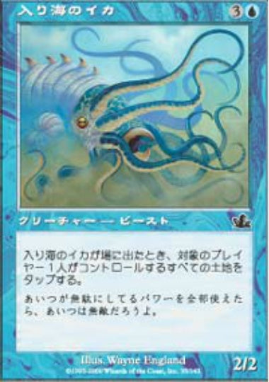 (日)入り海のイカ / Gulf Squid【PCY】 No.035