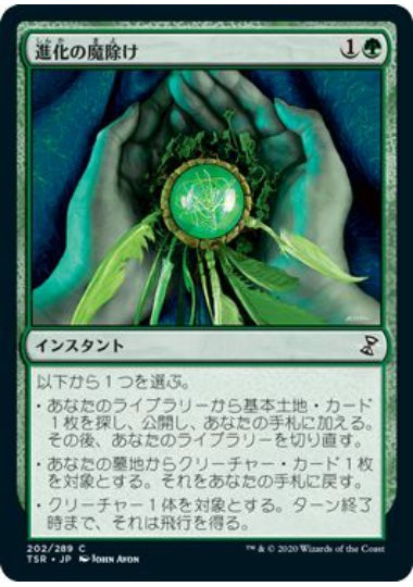 (日)【Foil】進化の魔除け / Evolution Charm【TSR】 No.202