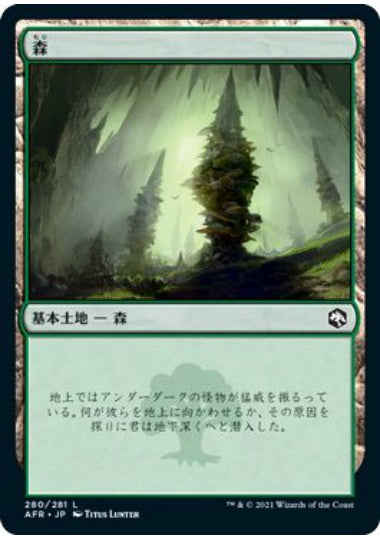 (日)森 / Forest【AFR】 No.280
