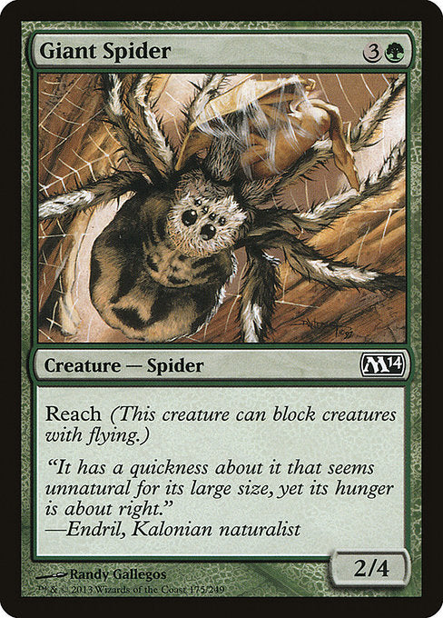 (英)【Foil】大蜘蛛 / Giant Spider【M14】 No.175