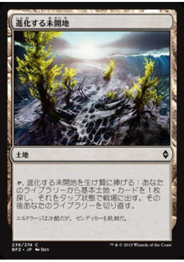 (日)【Foil】進化する未開地 / Evolving Wilds【BFZ】 No.236