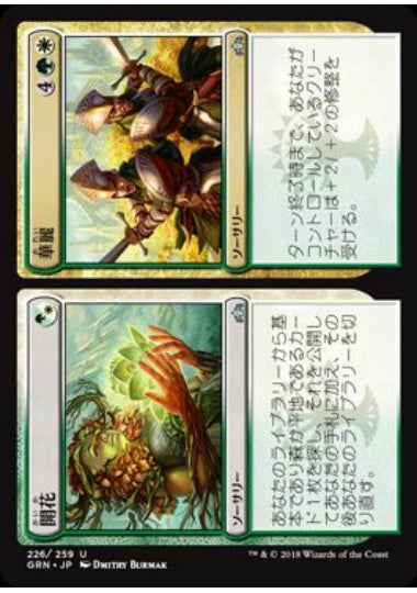 (日)【Foil】開花+華麗 / Flower+Flourish【GRN】 No.226