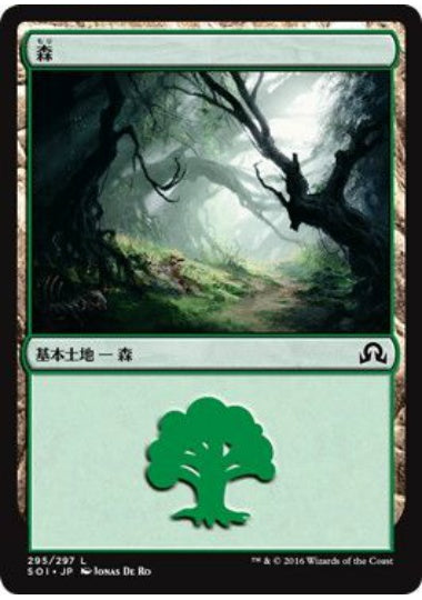 (日)森 / Forest【SOI】 No.295